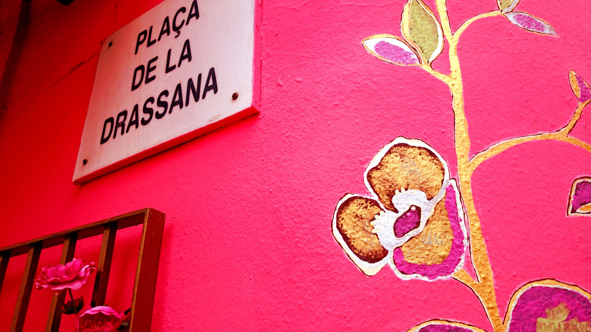 Galeria
